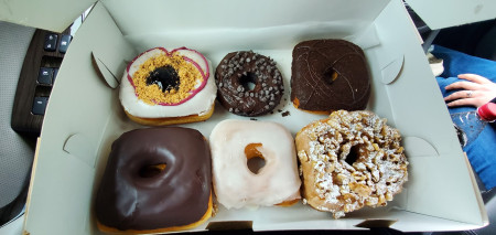 Vincent Van Doughnut