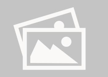 Wiki-Liciousboise