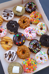 Yonutz Donuts and Ice Cream - Desert Ridge Phoenix