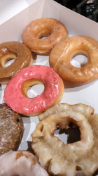 Yummy Donut